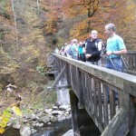 Brücke über die Gr.Mühl